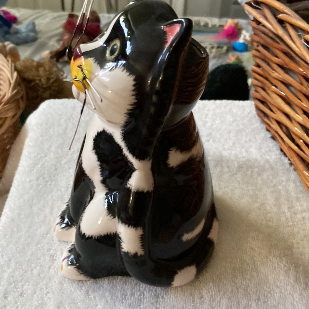 Cat - Picture 4 of 6